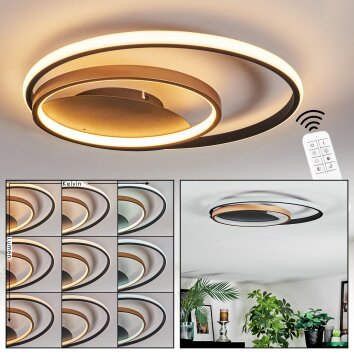 Trapani Deckenleuchte LED Gold, Schwarz, 1-flammig, Fernbedienung