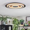 Lidor Deckenleuchte LED Schwarz, 1-flammig