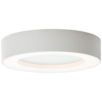 Brillliant Whittaker Außendeckenleuchte LED Weiß, 1-flammig Brillliant Whittaker Außendeckenleuchte LED Weiß, 1-flammig