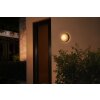 Philips Hue White & Color Ambiance Daylo Wandleuchte LED Edelstahl, 1-flammig