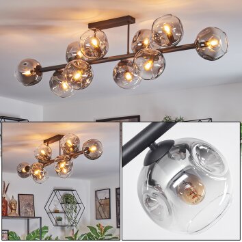 Ripoll Deckenleuchte Glas 15 cm Klar, Rauchfarben, 10-flammig