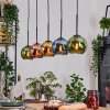 Koyoto Pendelleuchte Glas 15 cm Naturfarben, Schwarz, 5-flammig