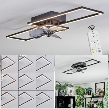 Hyacinthe Deckenventilator mit Beleuchtung LED Chrom, Schwarz, 1-flammig, Fernbedienung Hyacinthe Deckenventilator mit Beleuchtung LED Chrom, Schwarz, 1-flammig, Fernbedienung