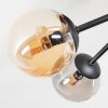 Chehalis Deckenleuchte Glas 10 cm Bernsteinfarben, Rauchfarben, 6-flammig