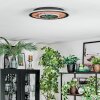 Meron Deckenleuchte LED Holzoptik, Schwarz, 1-flammig