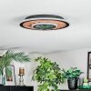 Meron Deckenleuchte LED Holzoptik, Schwarz, 1-flammig