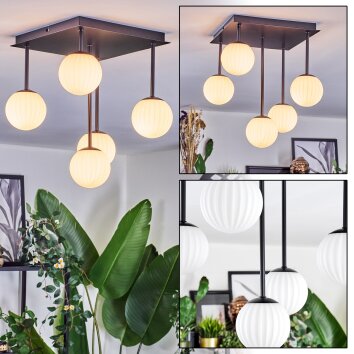 Chehalis Deckenleuchte Glas 15 cm Weiß, 5-flammig Chehalis Deckenleuchte Glas 15 cm Weiß, 5-flammig