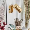 Javel Wandleuchte Gold, 1-flammig