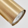 Javel Wandleuchte Gold, 1-flammig