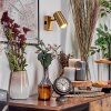 Javel Wandleuchte Gold, 1-flammig