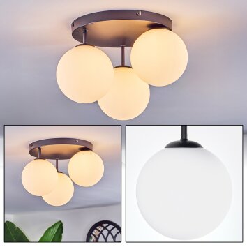 Chehalis Deckenleuchte Glas 15 cm Weiß, 3-flammig