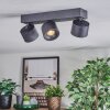 Narel Deckenleuchte LED Schwarz, 3-flammig