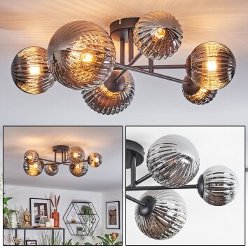 Chehalis Deckenleuchte Glas 10 cm, 12 cm, 15 cm Rauchfarben, 6-flammig