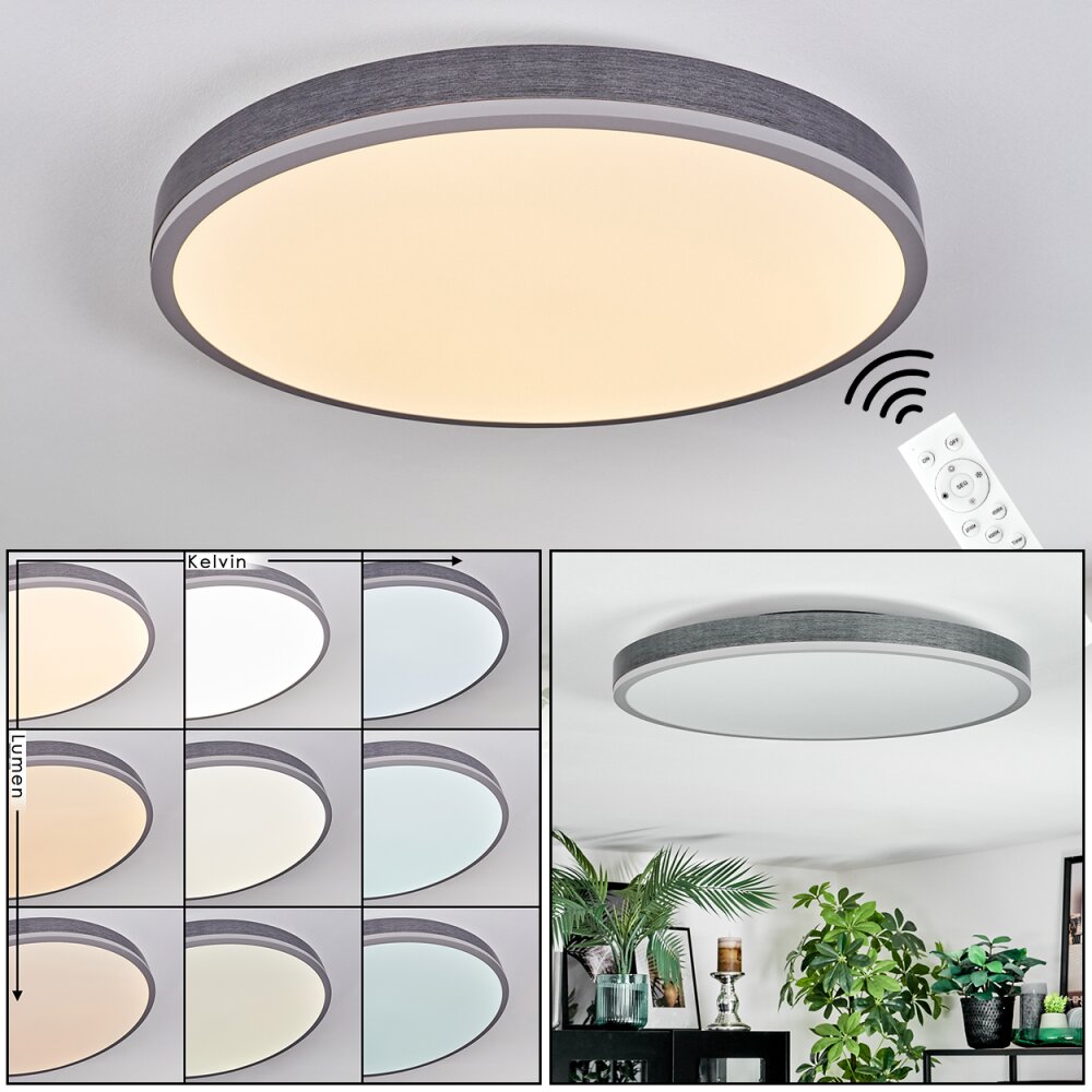 Salmi Deckenpanel LED Grau, Silber, 1-flammig, Fernbedienung main product photo