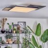 Barullu Deckenpanel LED Holzoptik, Schwarz, Weiß, 1-flammig