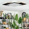 Barullu Deckenpanel LED Schwarz, Weiß, 1-flammig