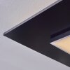 Barullu Deckenpanel LED Schwarz, Weiß, 1-flammig