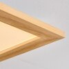 Belan Deckenpanel LED Naturfarben, Weiß, 1-flammig