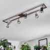 Danil Deckenleuchte LED Nickel-Matt, 6-flammig