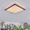 Castasegna Deckenpanel LED Schwarz, Weiß, 1-flammig