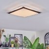 Castasegna Deckenpanel LED Schwarz, Weiß, 1-flammig