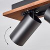 Dalan Deckenleuchte LED Naturfarben, Schwarz, 2-flammig