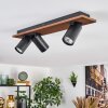 Dalan Deckenleuchte LED Naturfarben, Schwarz, 3-flammig