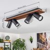Dalan Deckenleuchte LED Naturfarben, Schwarz, 4-flammig
