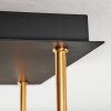 Gastor Deckenleuchte Glas 15 cm Gold, Schwarz, 5-flammig