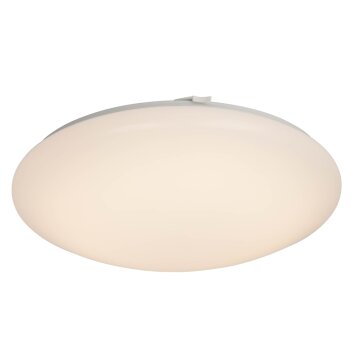 AEG Basic Deckenleuchte LED Weiß, 1-flammig AEG Basic Deckenleuchte LED Weiß, 1-flammig