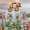 Ripoll Deckenleuchte Glas 15 cm Gold, Schwarz, 8-flammig