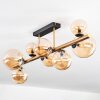 Chehalis Deckenleuchte Glas 10 cm, 12 cm, 15 cm Gold, Schwarz, 8-flammig