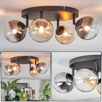 Chehalis Deckenleuchte Glas 12 cm Bernsteinfarben, Klar, Rauchfarben, 4-flammig Chehalis Deckenleuchte Glas 12 cm Bernsteinfarben, Klar, Rauchfarben, 4-flammig