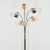 Koyoto Stehleuchte Glas 15 cm Bernsteinfarben, Chrom, Rauchfarben, 5-flammig