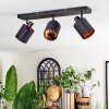 Fallhagen Deckenleuchte Schwarz, 3-flammig