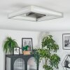 Danor Deckenleuchte LED Nickel-Matt, 1-flammig