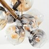 Ripoll Deckenleuchte Glas 15 cm Gold, Schwarz, 8-flammig
