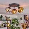 Ripoll Deckenleuchte Glas 15 cm Chrom, Gold, Klar, Kupferfarben, Rauchfarben, 3-flammig
