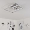 Buren Deckenleuchte LED Nickel-Matt, 1-flammig