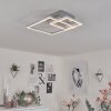 Buren Deckenleuchte LED Nickel-Matt, 1-flammig