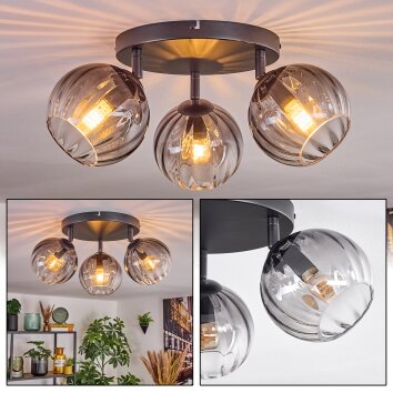 Koyoto Deckenleuchte Glas 15 cm Klar, Rauchfarben, 3-flammig