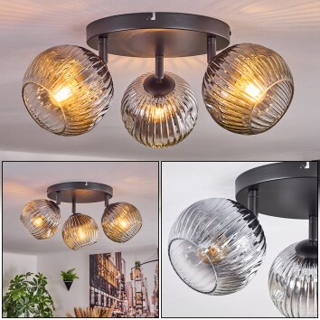 Ripoll Deckenleuchte Glas 15 cm Klar, Rauchfarben, 3-flammig