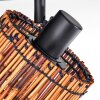 Cando Deckenleuchte Schwarz, 4-flammig