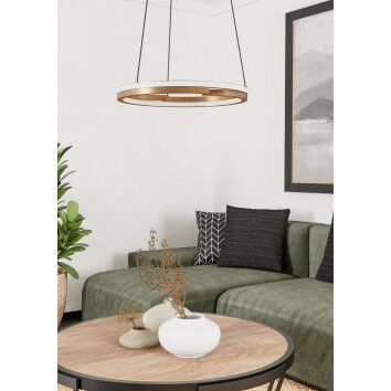 EGLO MEZZOMONTE Hängeleuchte LED Bronze, Schwarz, Fernbedienung