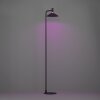 EGLO CONOMAVILLA-Z Stehleuchte LED Schwarz, Farbwechsler