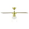 EGLO FORTALEZA Deckenventilator & Licht Brüniert
