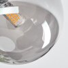 Chehalis Deckenleuchte Glas 12 cm Rauchfarben, 4-flammig