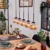 Ripoll Hängeleuchte Glas 15 cm Naturfarben, Schwarz, 5-flammig