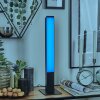 Delan Tischleuchte LED Schwarz, 1-flammig, Farbwechsler