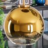 Koyoto Hängeleuchte Glas 20 cm Gold, Schwarz, 5-flammig